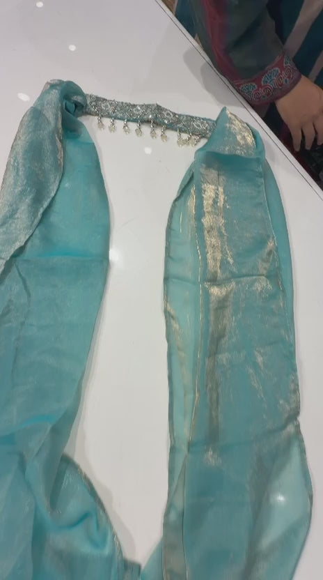 Rapunzel Fendy Palazzo Set with Choker Neck Dupatta